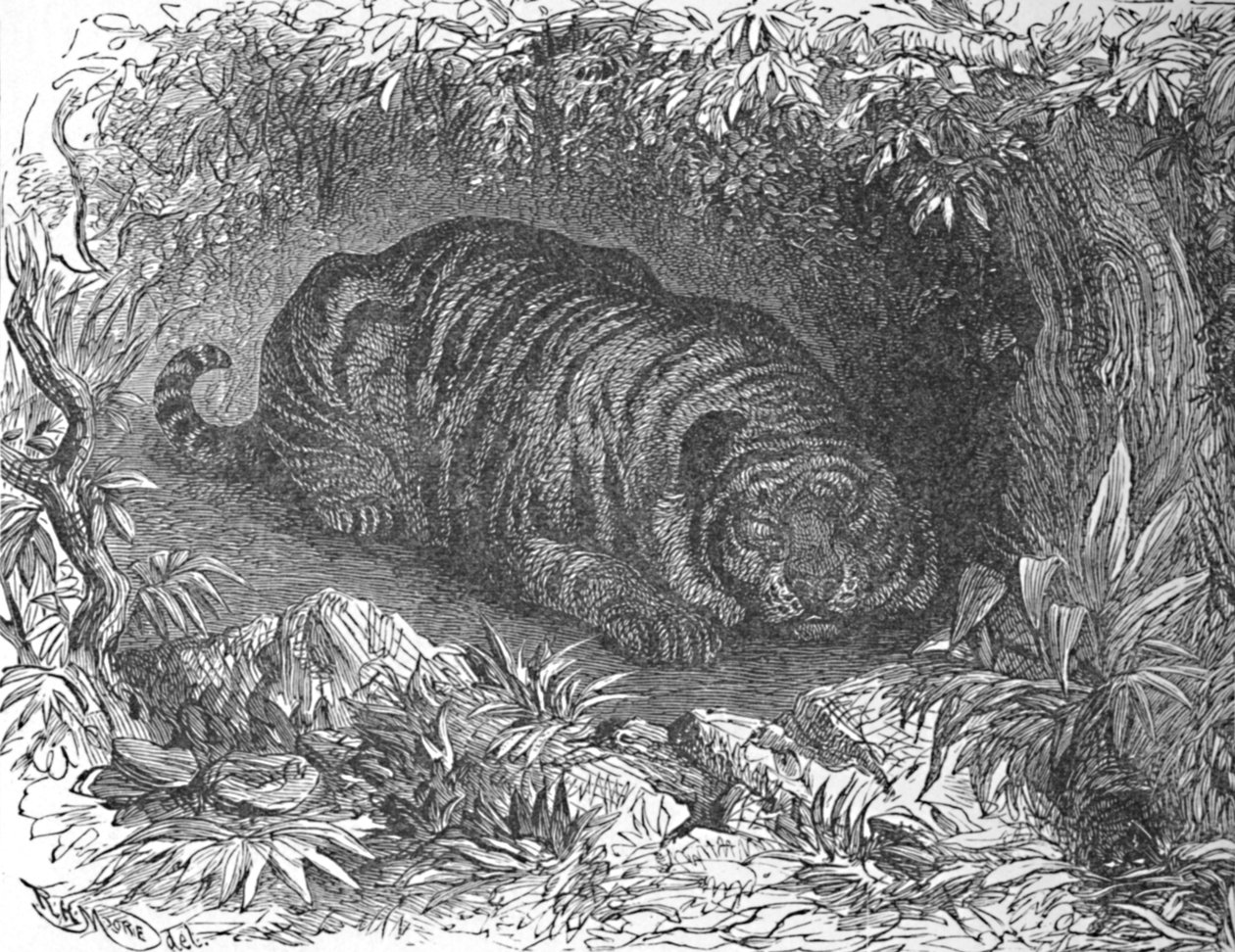 एक के बाद रात के खाने के नाप, c1900 द्वारा हेलेना जे मगुइरे