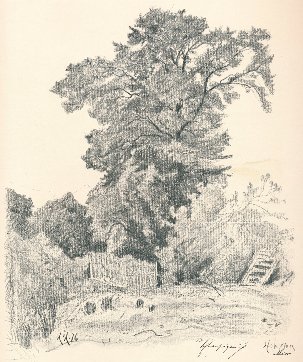 पेड़ों का अध्ययन, c1839-1898, 1898 द्वारा हेनरी जोसेफ हार्पनीज