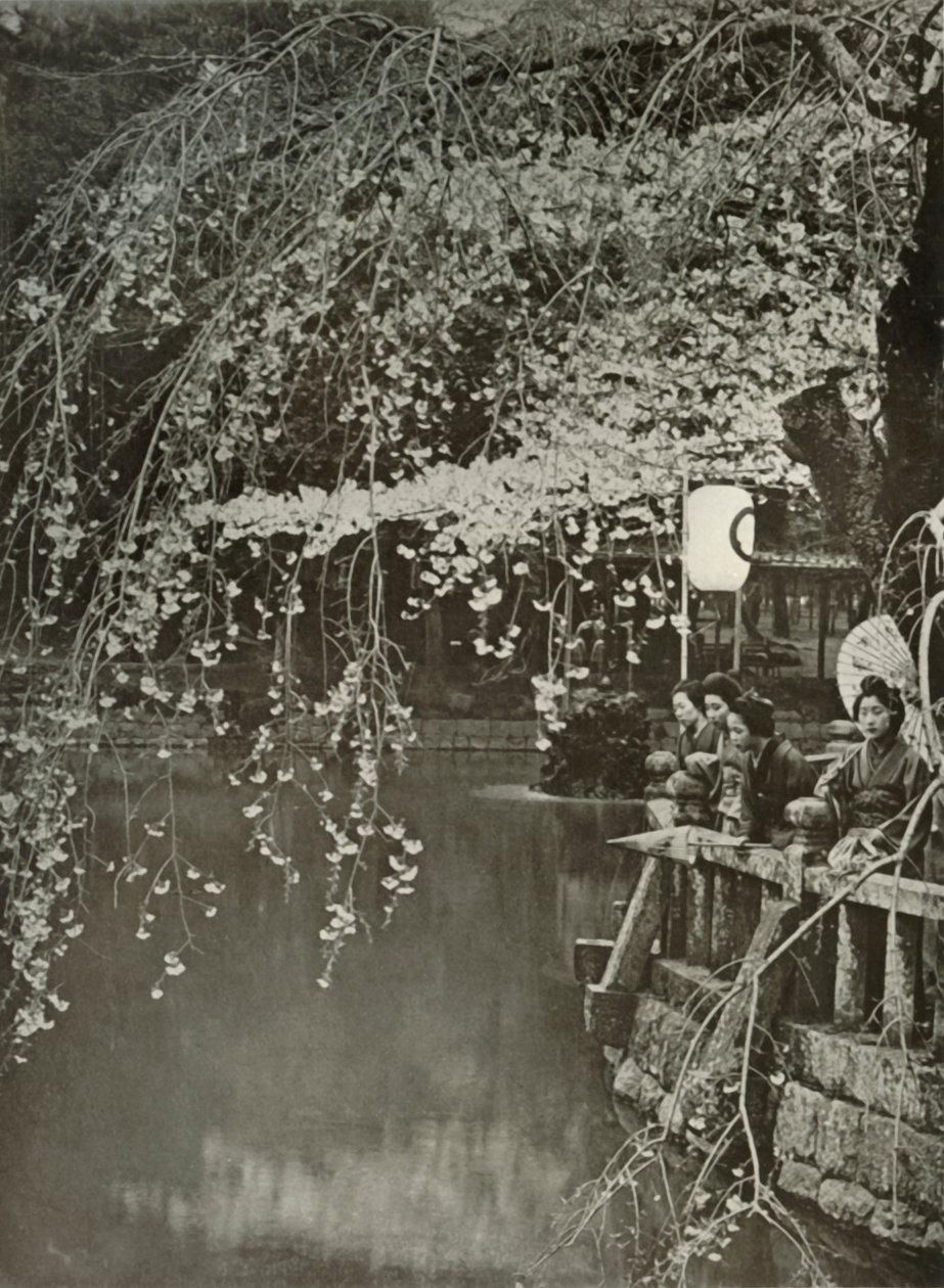 जापान में चेरी-ब्लॉसम टाइम, 1910। द्वारा हर्बर्ट पोंटिंग