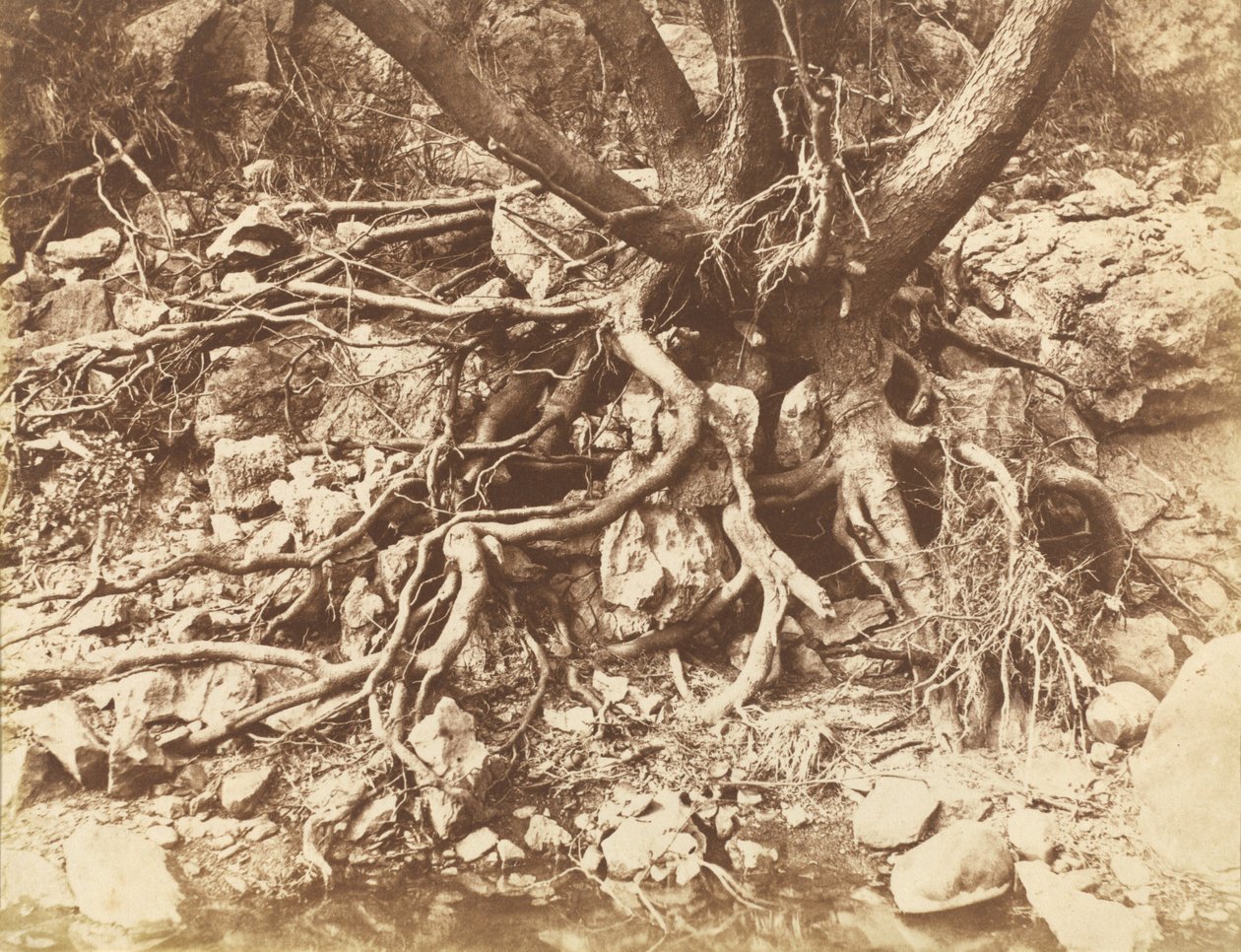  द्वारा ह्यूग ओवेन