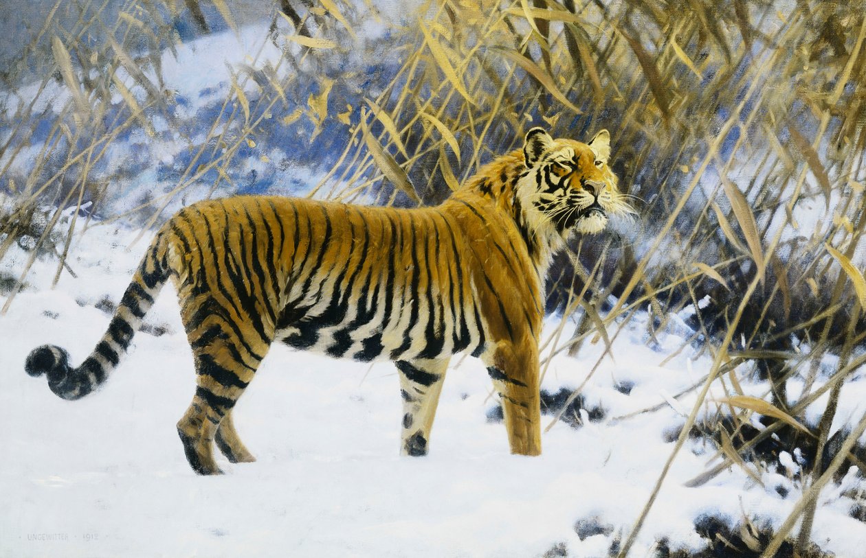 टाइगर इन ए विंटर लैंडस्केप द्वारा ह्यूगो तूफान