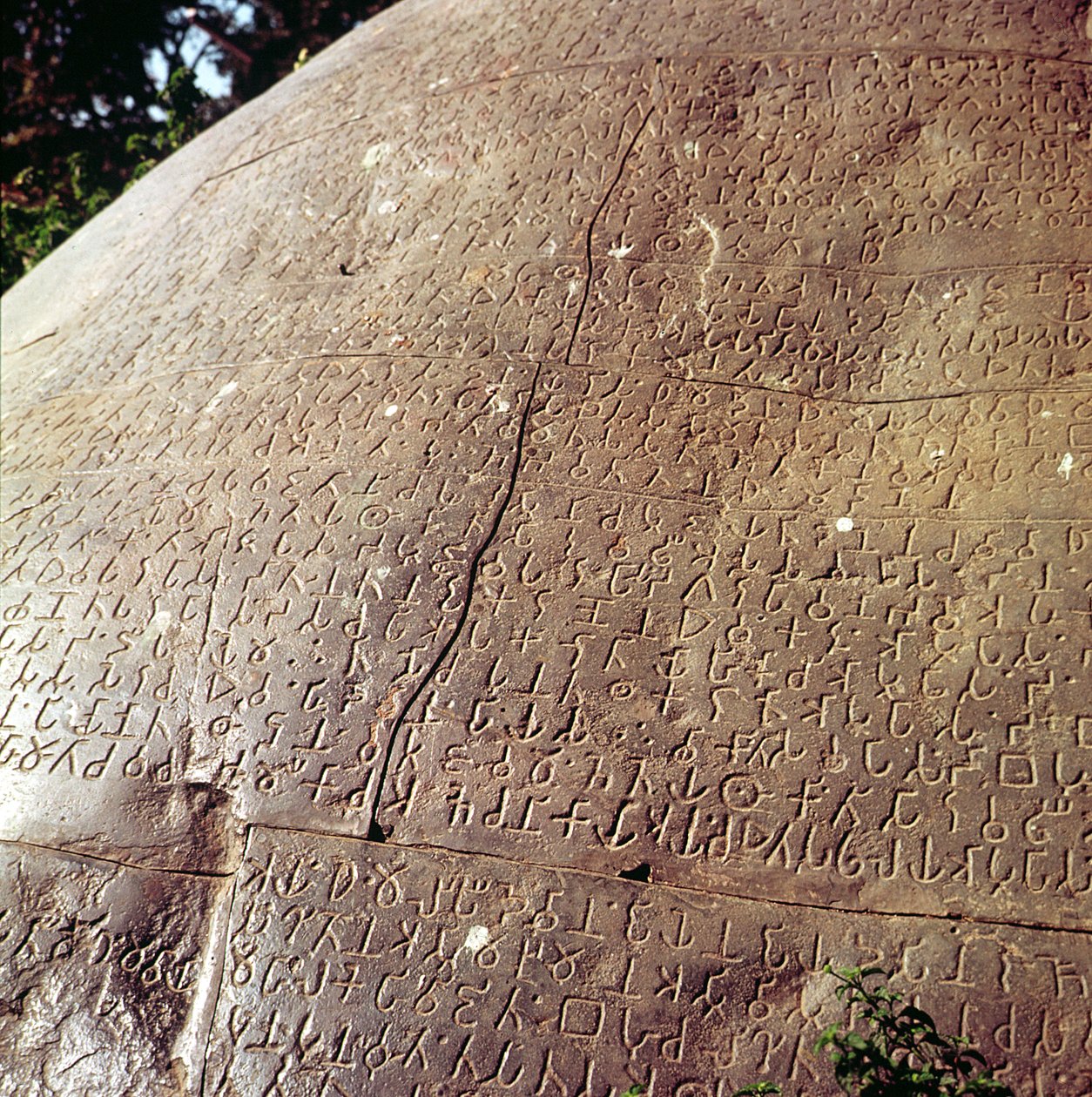 सम्राट अशोक के पत्थर की प्रतिलिपि (c.264-223 ईसा पूर्व) द्वारा भारतीय