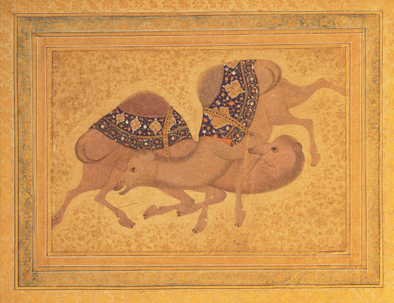 दो ऊंटों की लड़ाई, 1620 द्वारा इंडियन स्कूल