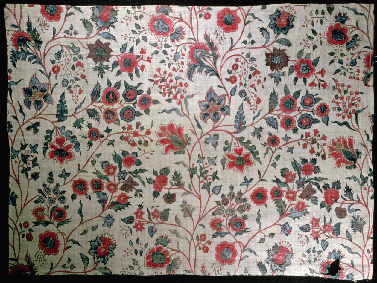 सजावटी कपड़ा, 1725-50 द्वारा इंडियन स्कूल