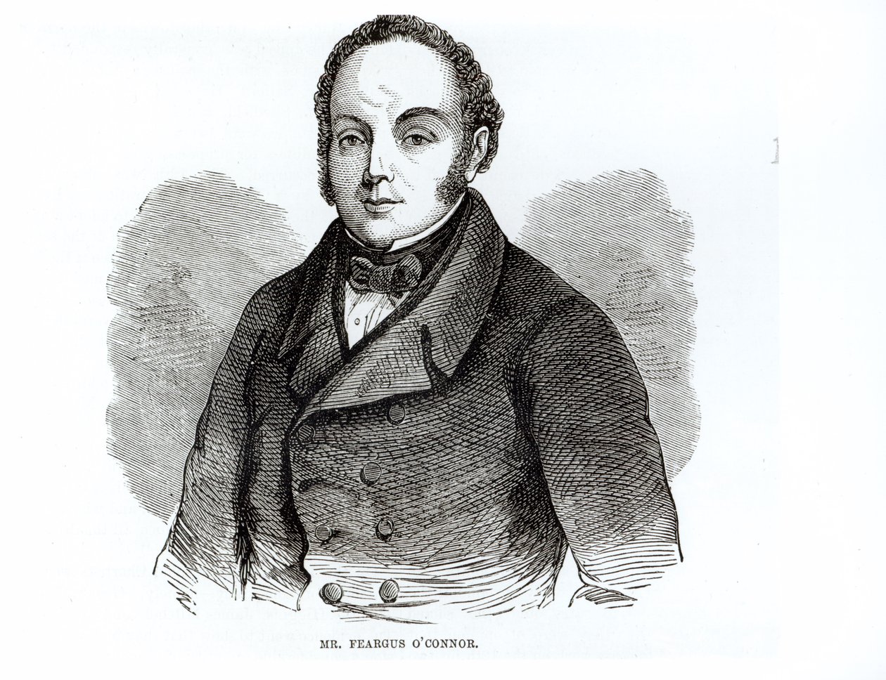 फियरगस ओ&39;कॉनर (1794-1855) आयरिश चार्टिस्ट नेता का चित्र द्वारा आयरिश स्कूल