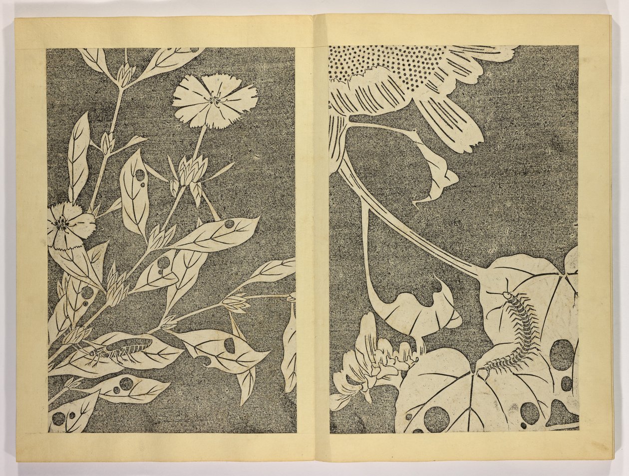 Jakuch गज ;, c.1910 (वुडब्लॉक प्रिंट) द्वारा इतो अत्र। से जचुचू