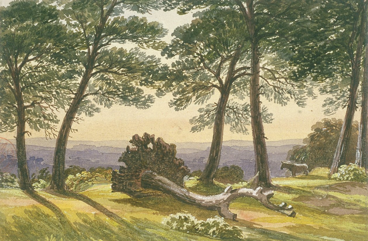 हैम्पस्टेड हीथ, लंदन, c1830 द्वारा जे पॉवेल