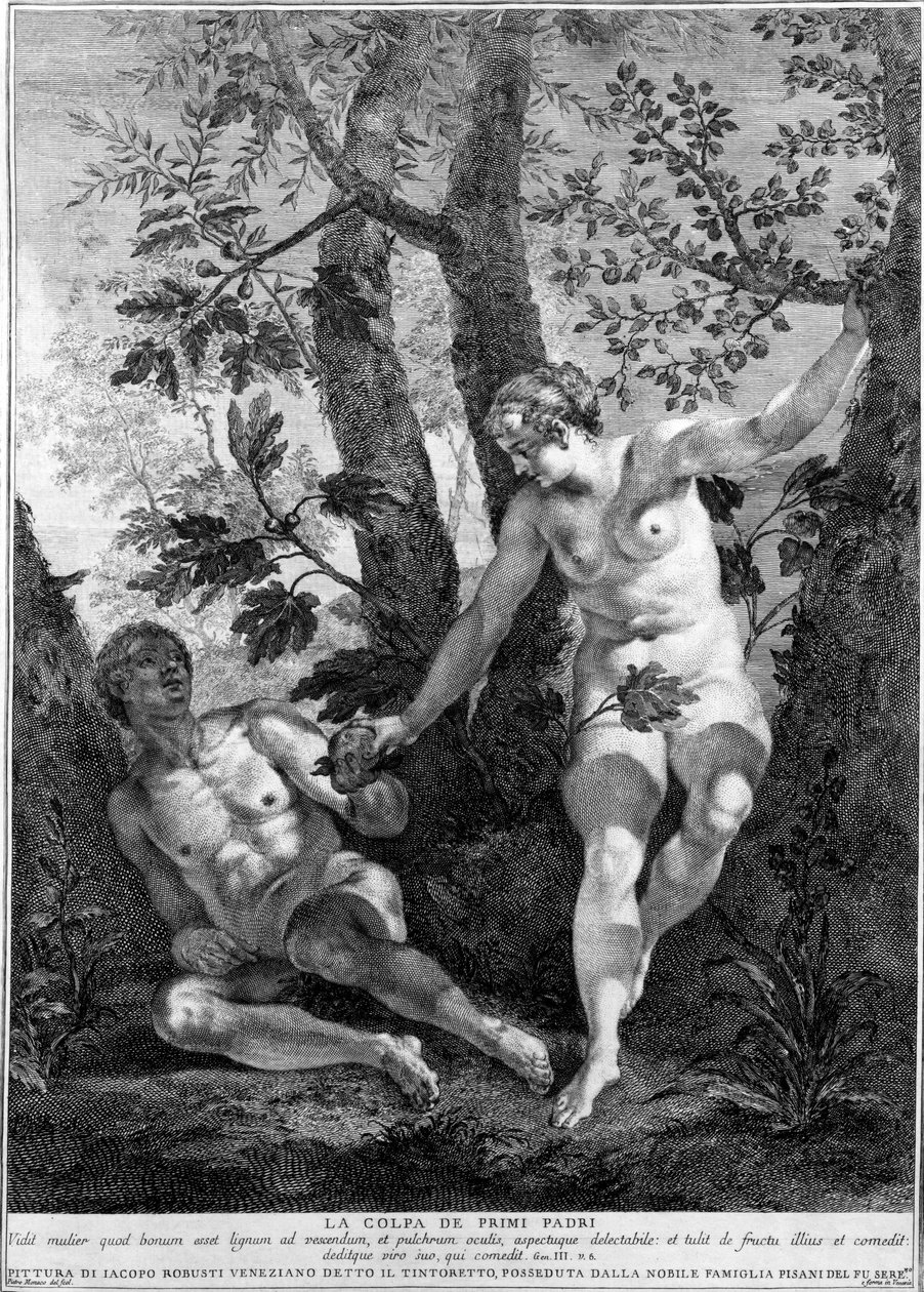 एडम और ईव, पिएत्रो मोनाको द्वारा उत्कीर्ण, c.1741-52 द्वारा जैकोपो रोबुस्टी टिंटोरेटो