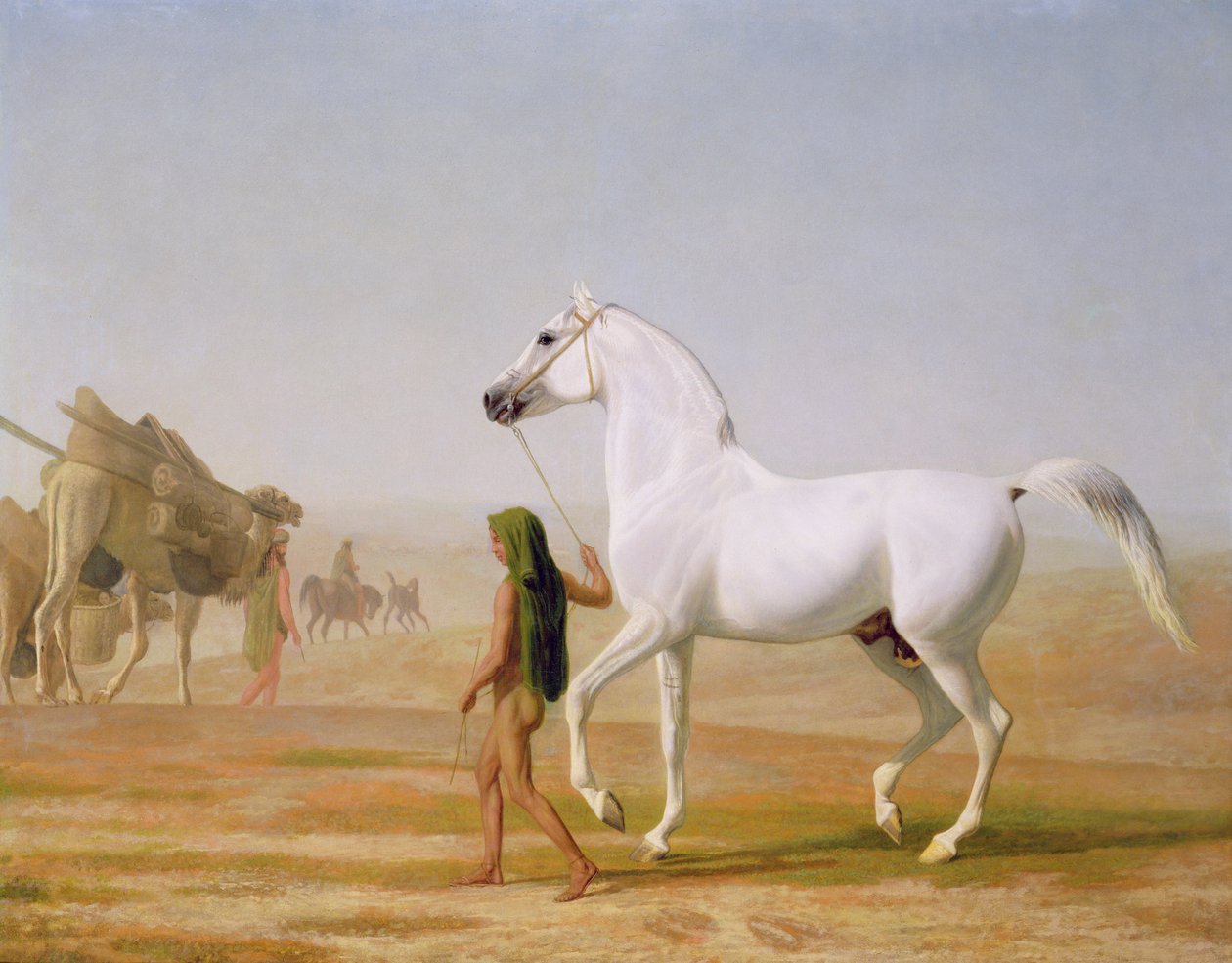 वेलेस्ले ग्रे अरेबियन ने रेगिस्तान के माध्यम से नेतृत्व किया, c.1810 द्वारा जैक्स लॉरेंट अगासे