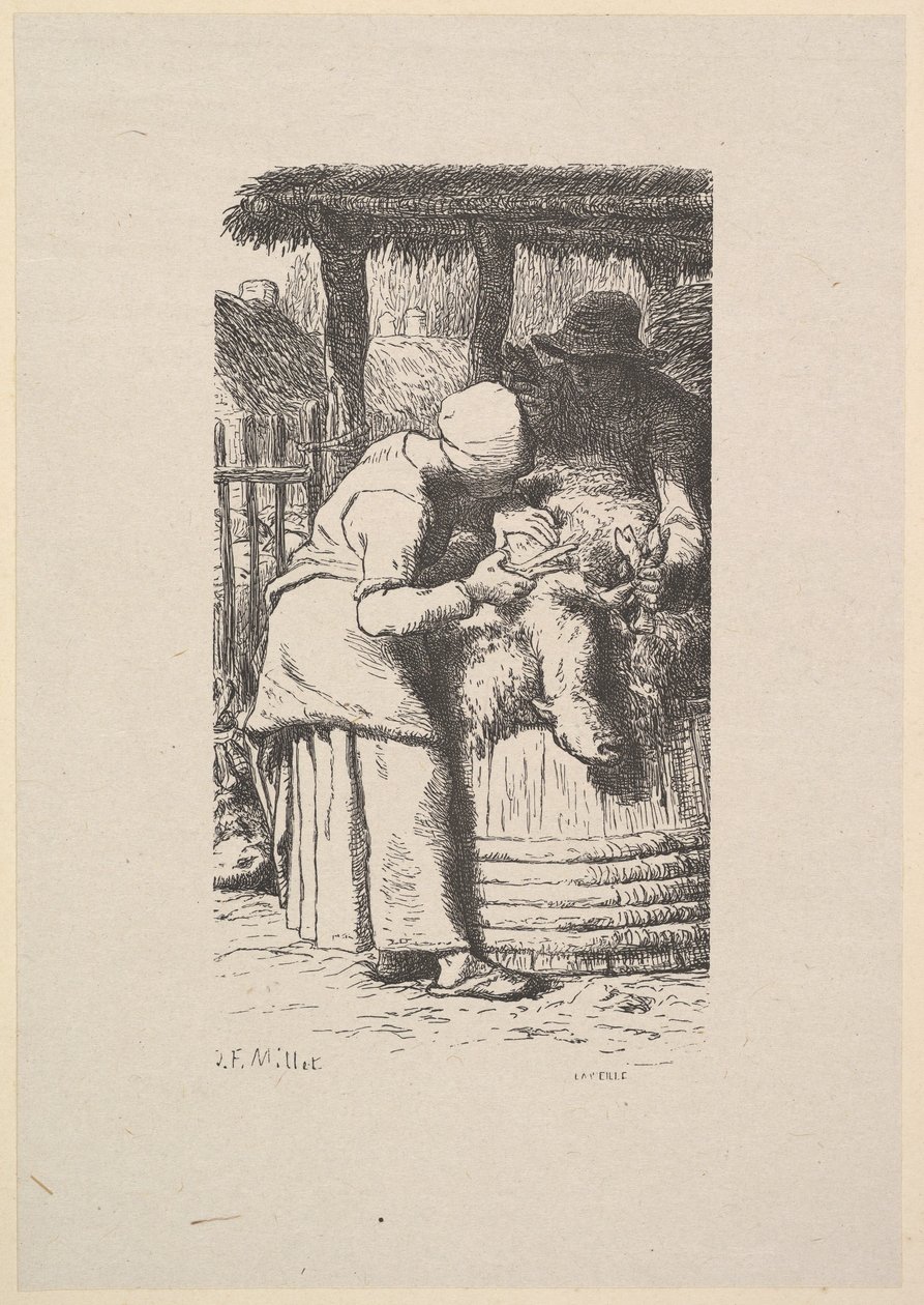 शीपशेयरिंग, 1853। द्वारा जैक्स एड्रियन लैविएले