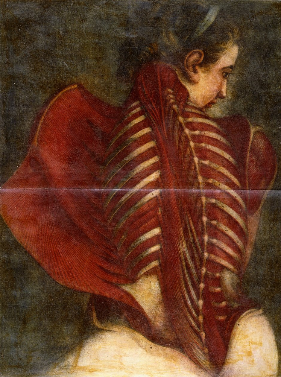 द फ्लेयड एंजल, c.1745 द्वारा जैक्स फैबियन गौटियर डगोटी