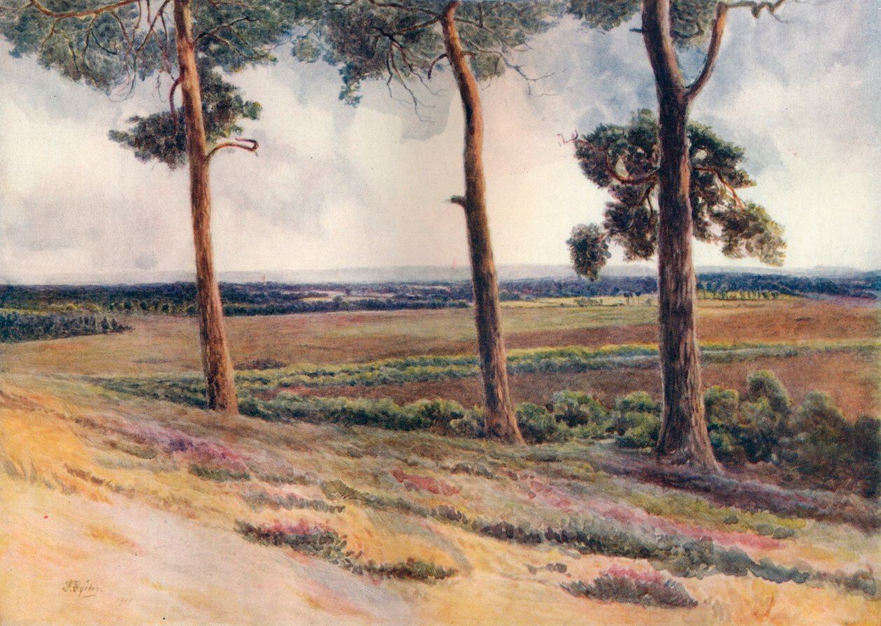स्टेपल हिल से देखें, 1911, 1914 द्वारा जेम्स एस ओगिल्वी