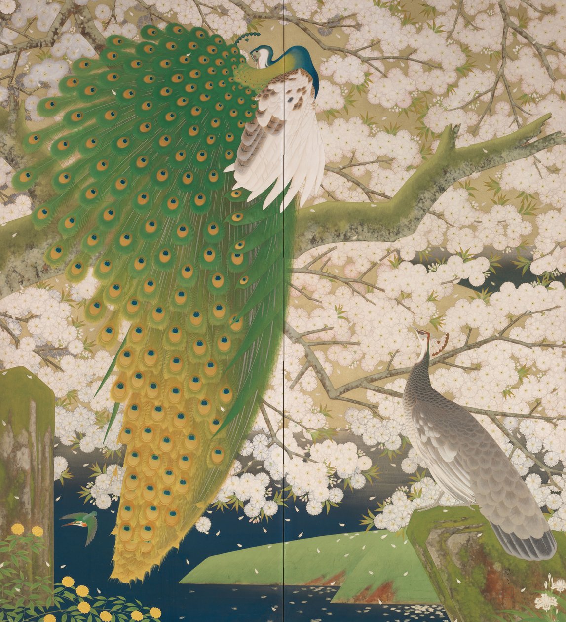मोर और चेरी का पेड़, c.1925 (कागज पर धातु और रंग) द्वारा जापानी स्कूल