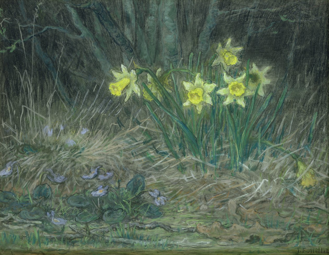 Narcissi और Violets, c.1867 (कागज पर पेस्टल) द्वारा जीन फ्रेंकोइस बाजरा