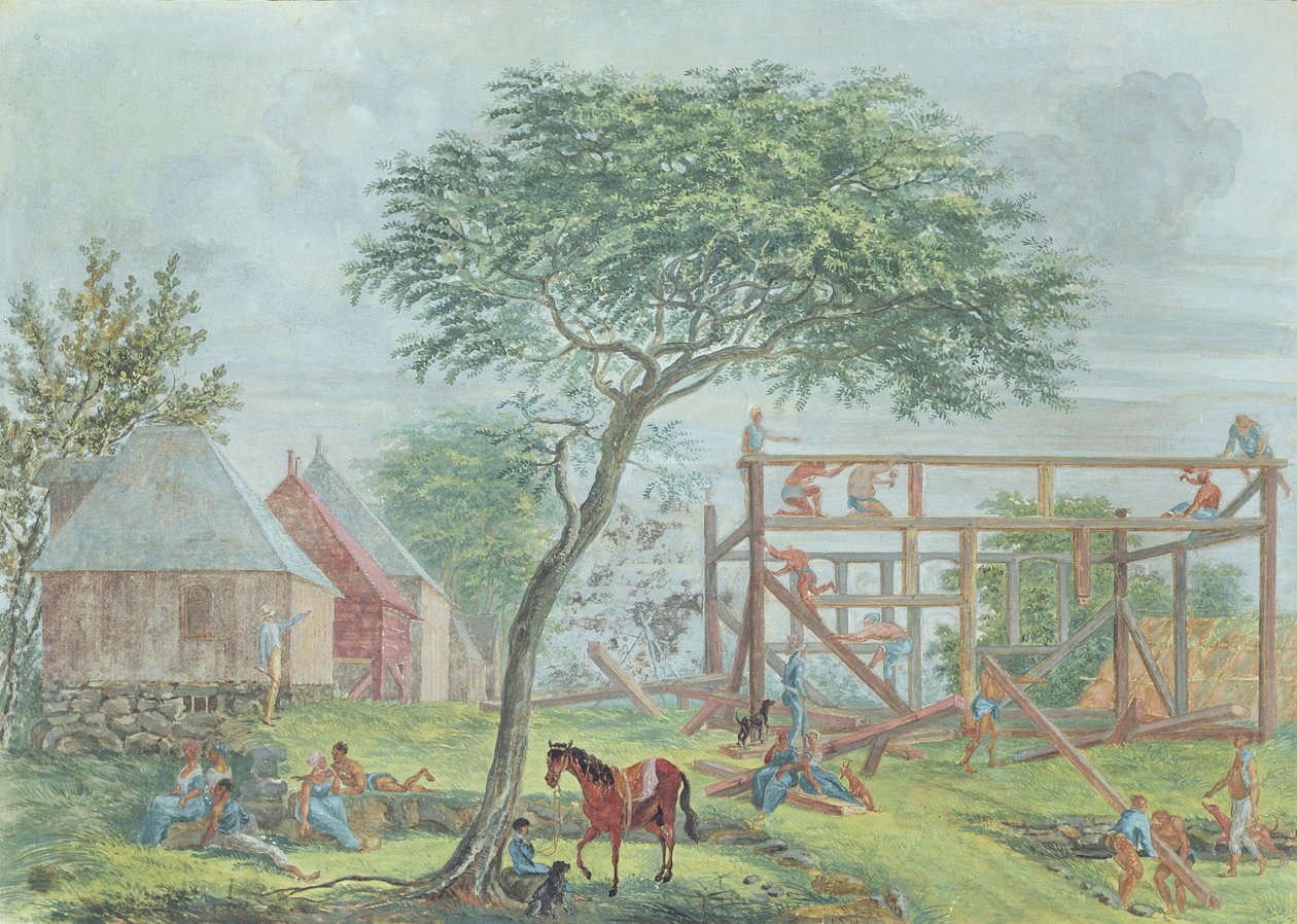इले डे ला रीयूनियन पर एक घर का निर्माण, c.1810-15 द्वारा जीन जोसेफ पाटू डी रोजमोंट