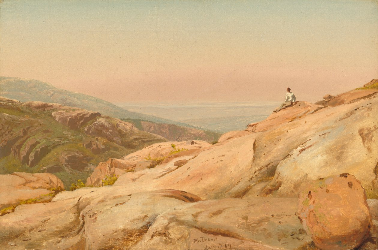 माउंट डेजर्ट द्वीप, मेन, 1864। द्वारा जर्विस मैकनेटी