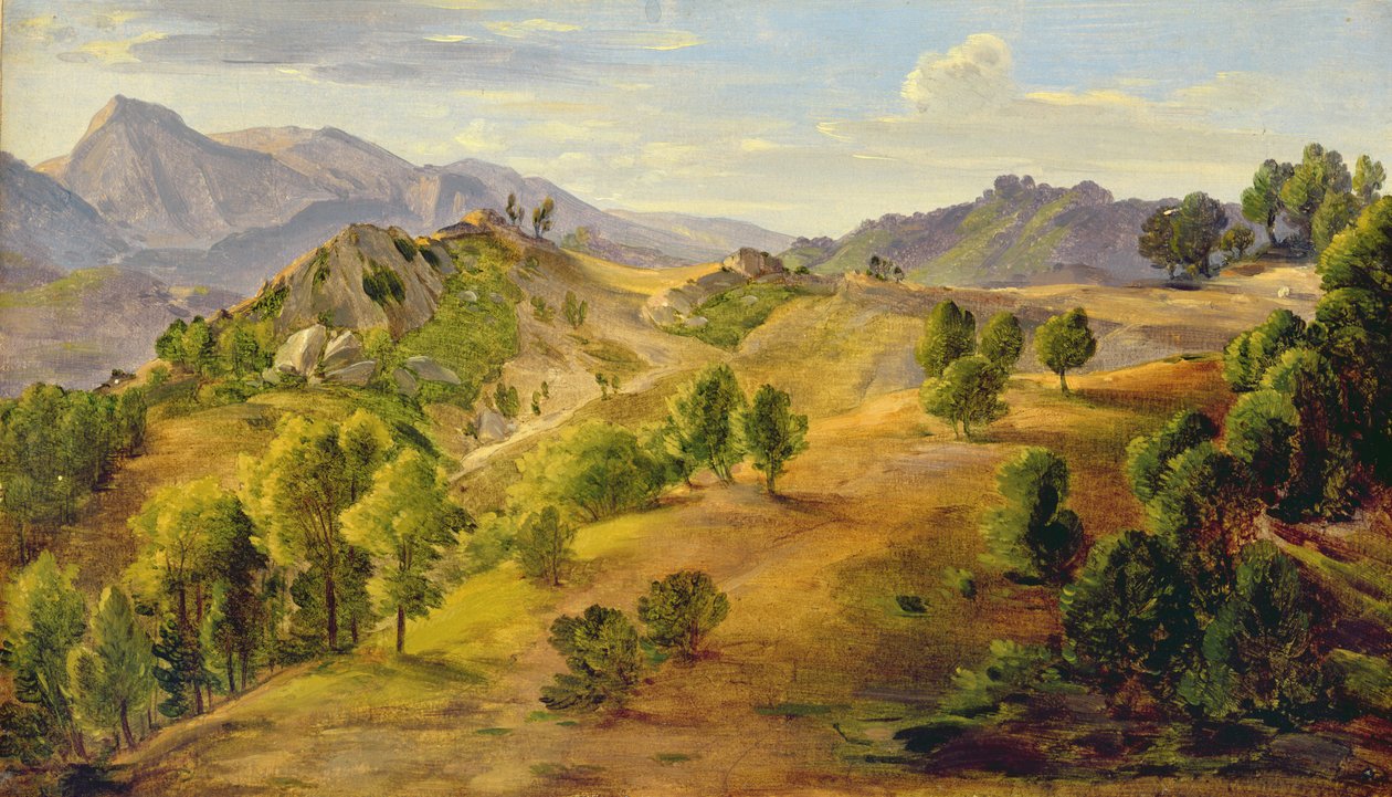 ओवेरानो में सर्पारा, c.1824 (कागज पर रखा गया तेल) द्वारा जोआचिम फेबर