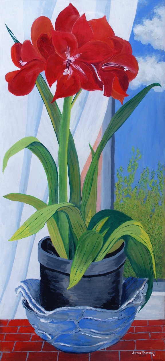 2011 में एक ब्लू बाउल में Amaryllis द्वारा जोन थेवेसी