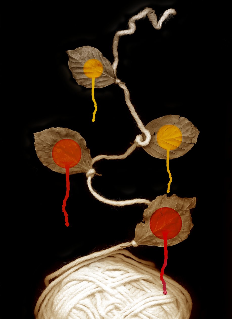  द्वारा जोहान लीलाजा
