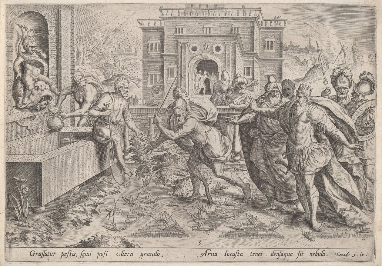 टिड्डियों का प्लेग, c.1585। द्वारा जोहान सदेलर I