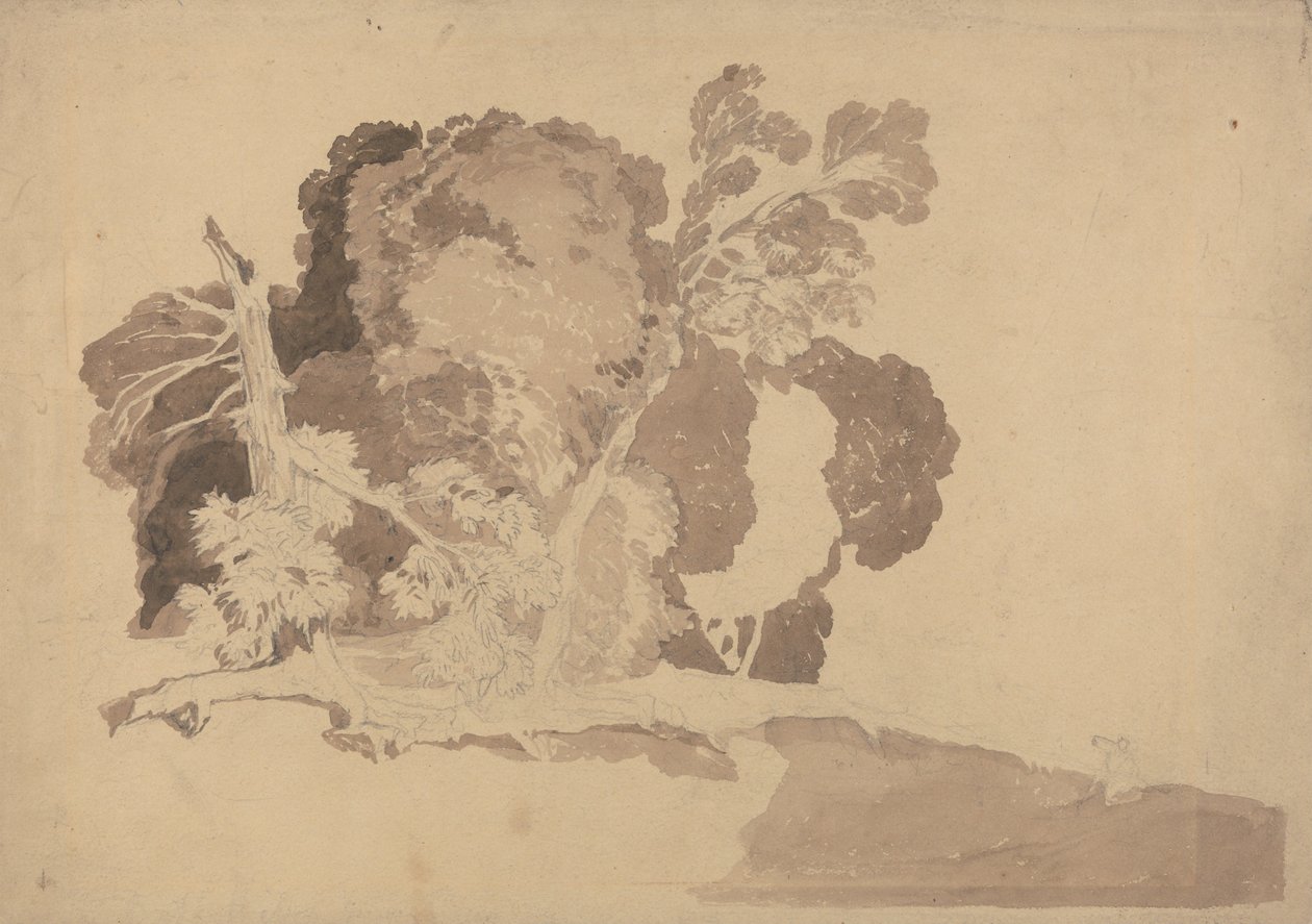 पेड़ों का अध्ययन द्वारा जॉन बेच Cotman