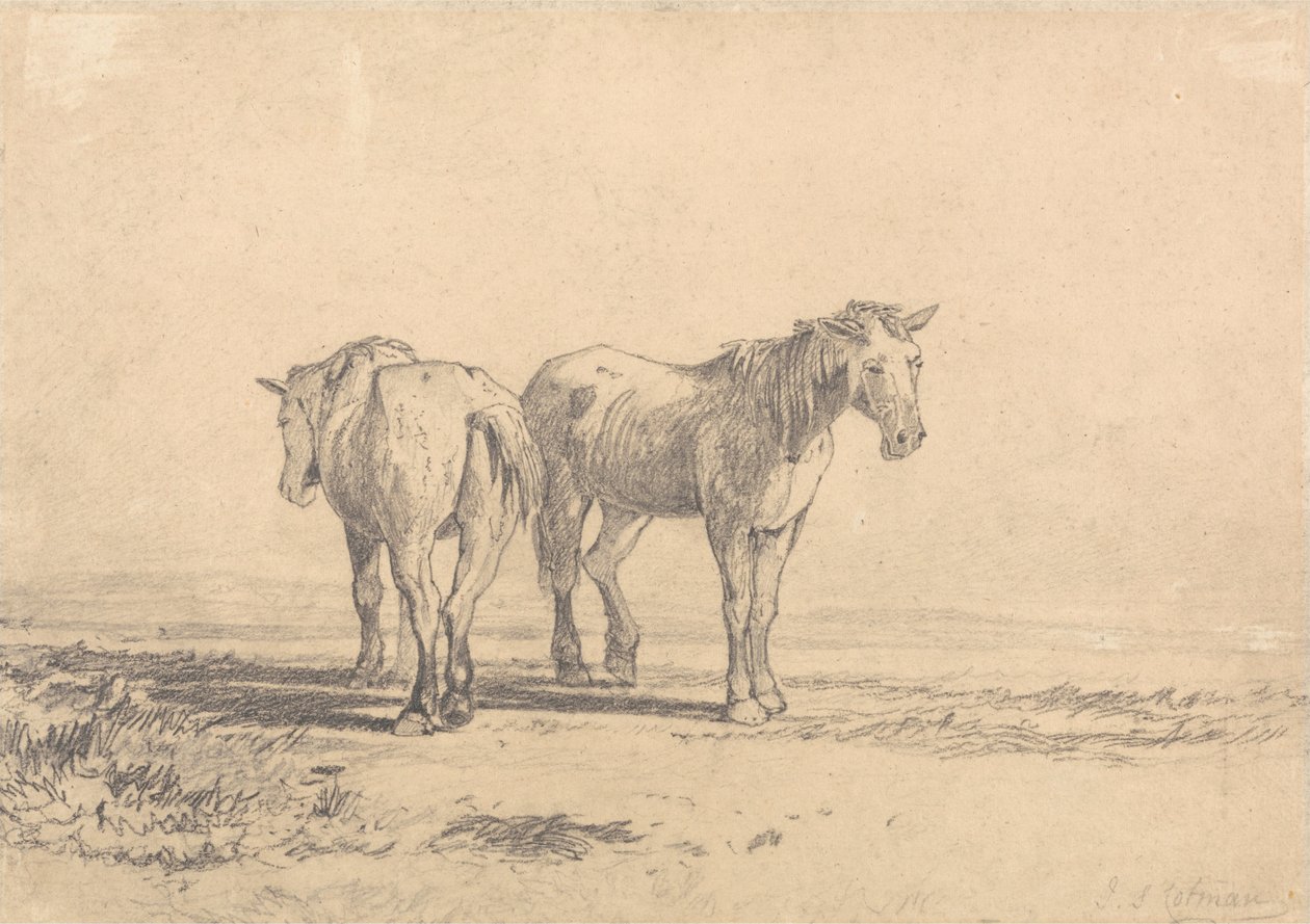 एक खेत में दो पुराने घोड़े खड़े द्वारा जॉन बेच Cotman