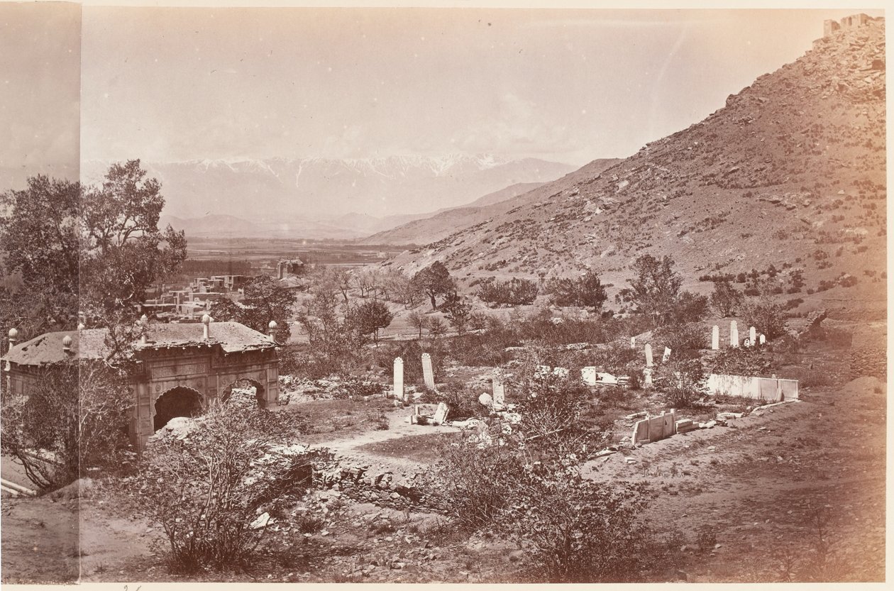 'बारबर्स [एसआईसी] गार्डन, काबुली द्वारा जॉन बर्क