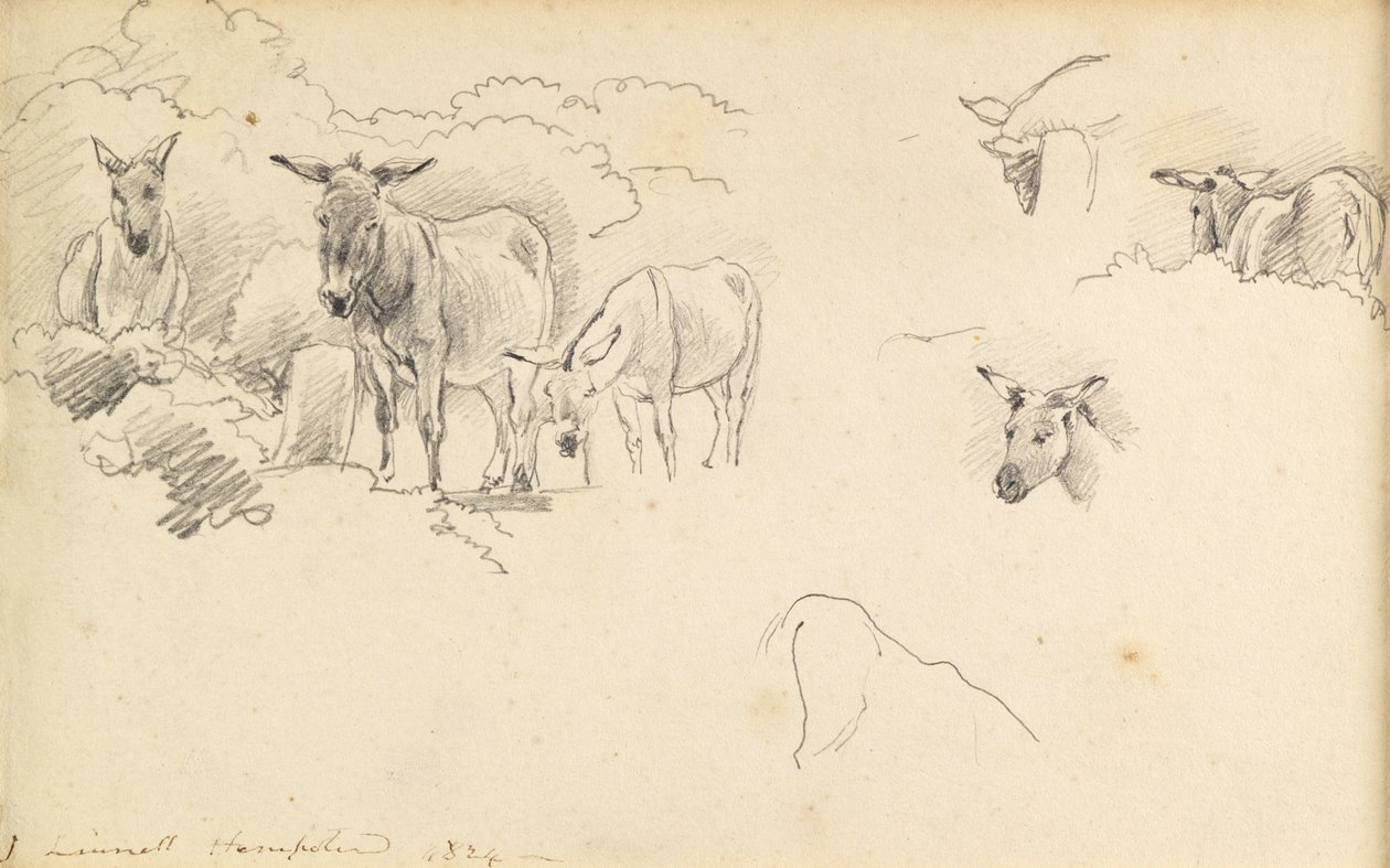 गधे, 1824 द्वारा जॉन लिननेल