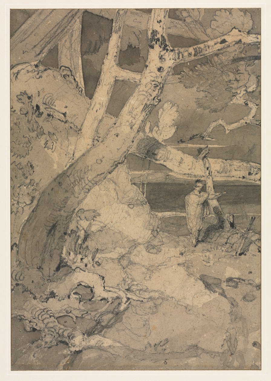  द्वारा जॉन बेच Cotman