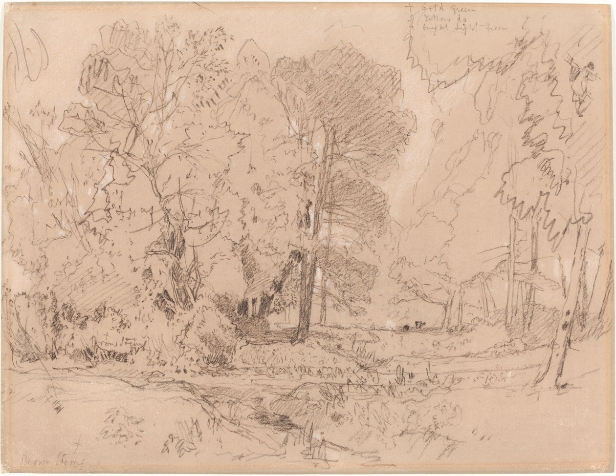 जंगली परिदृश्य द्वारा जॉन बेच Cotman