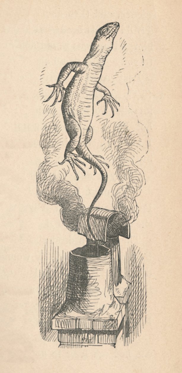 छिपकली, 1889 द्वारा जॉन टेनिएल