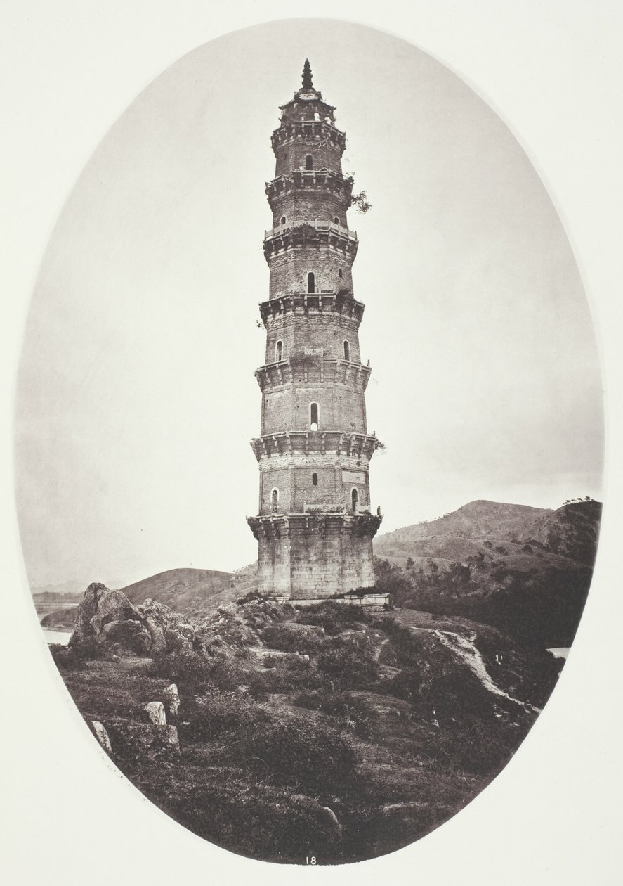  द्वारा जॉन थॉमसन