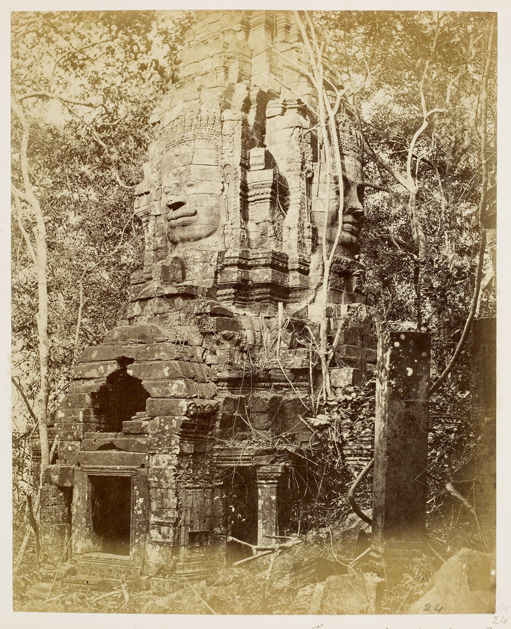  द्वारा जॉन थॉमसन