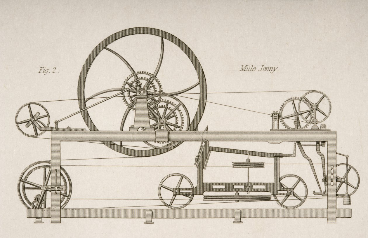 मुले-जेनी का साइड व्यू, c.1830 द्वारा जोसेफ विल्सन लोरी