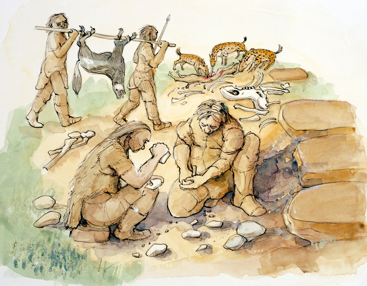 होमिनिड्स और हाइनास, अपर पैलियोलिथिक, c1990-2010 द्वारा जूडिथ डोबी