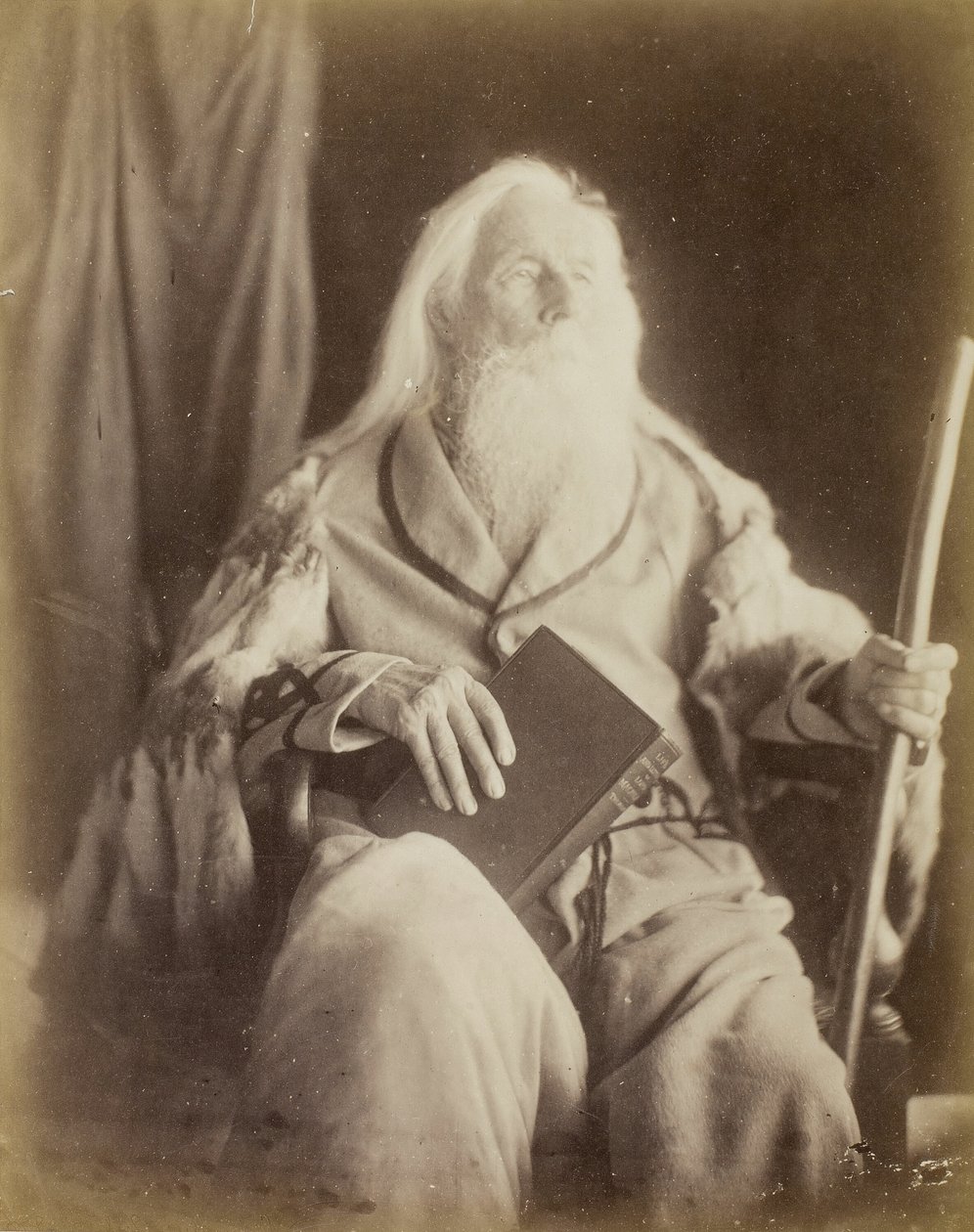 चार्ल्स हे कैमरून, 186465। द्वारा जूलिया मार्गरेट कैमरून