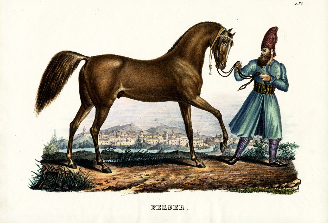 फारसी घोड़ा, 1824 द्वारा कार्ल जोसेफ ब्रोड्टमैन