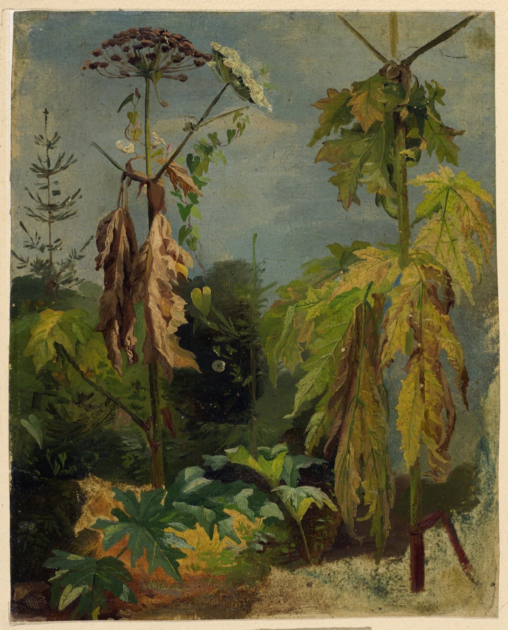  द्वारा कार्ल लुडविग सीगर