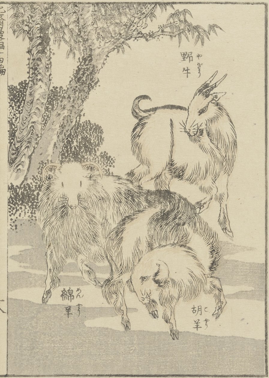 बकरियां, सी। 1840 (वुडब्लॉक प्रिंट) द्वारा कत्सुशिका होकुसाई