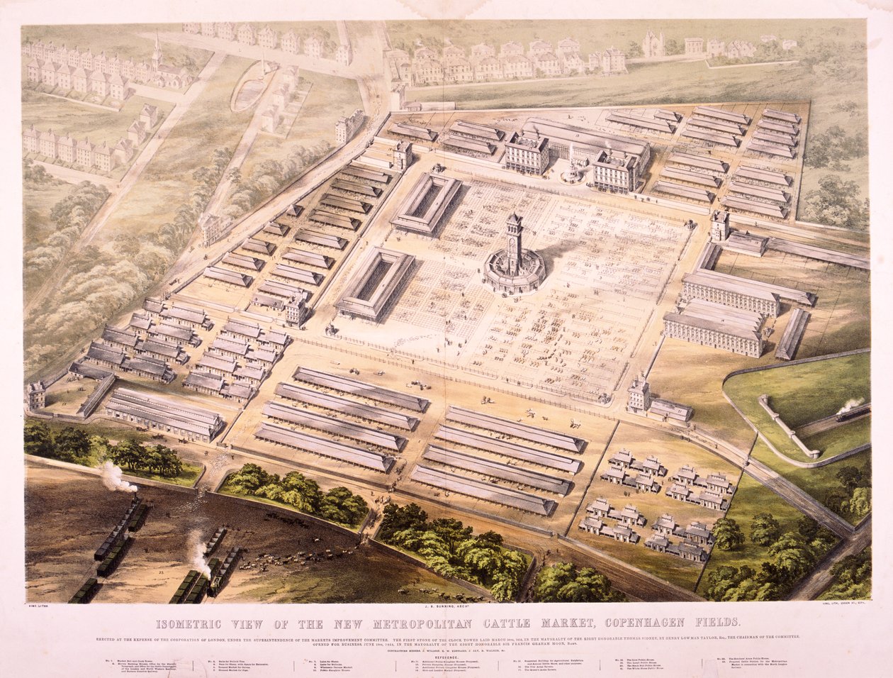 मेट्रोपॉलिटन कैटल मार्केट, लंदन, 1855 द्वारा राजा