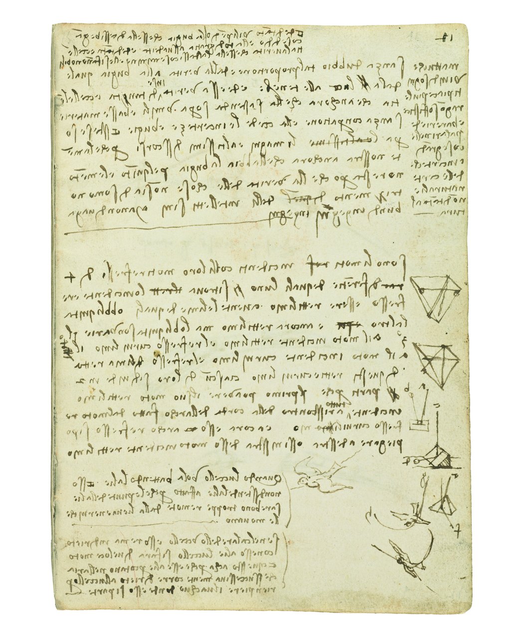 पक्षियों की उड़ान पर कोडेक्स, फोलियो 11 रेक्टो द्वारा लियोनार्डो दा विंची