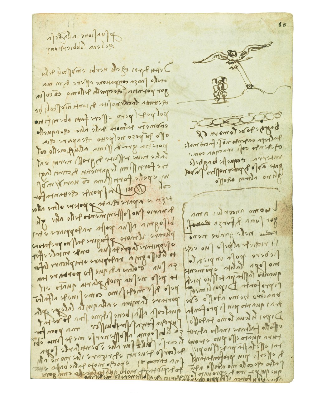 पक्षियों की उड़ान पर कोडेक्स, फोलियो 16 रेक्टो द्वारा लियोनार्डो दा विंची