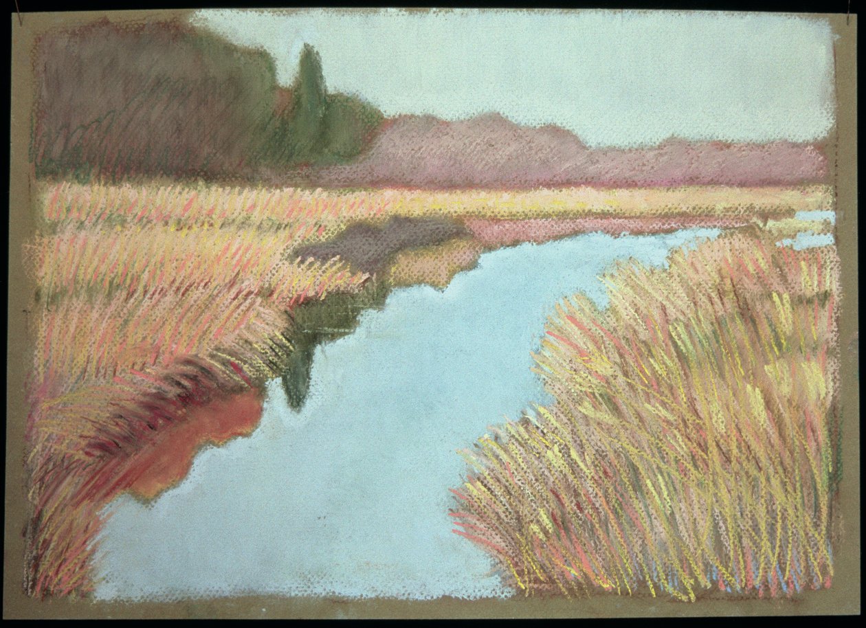 फुल टाइड, 1990 द्वारा लिलियन डेलेवरीस