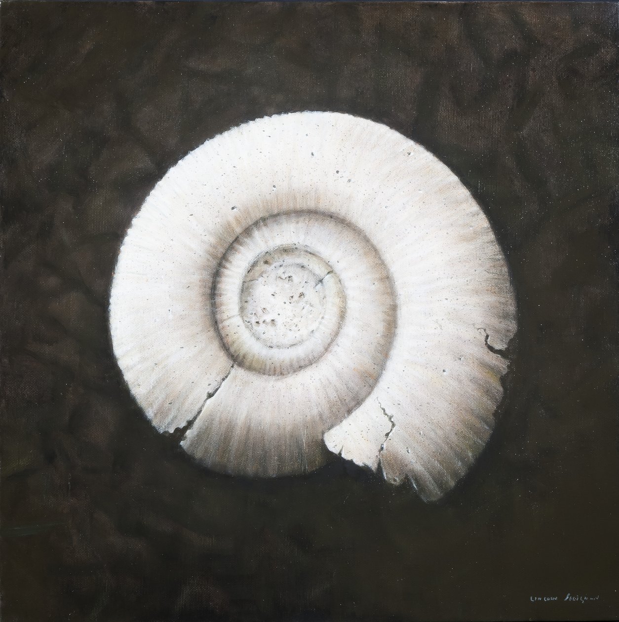 अमोनोनाइट, 2012 (कैनवास पर एक्रिलिक) द्वारा लिंकन सेलिगमैन