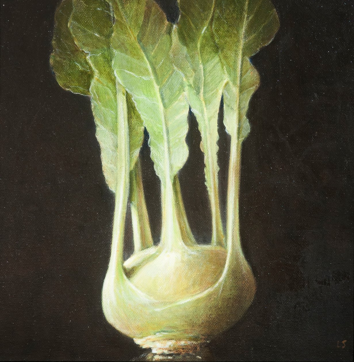 कोहल रबी, 2012 (कैनवास पर एक्रिलिक) द्वारा लिंकन सेलिगमैन