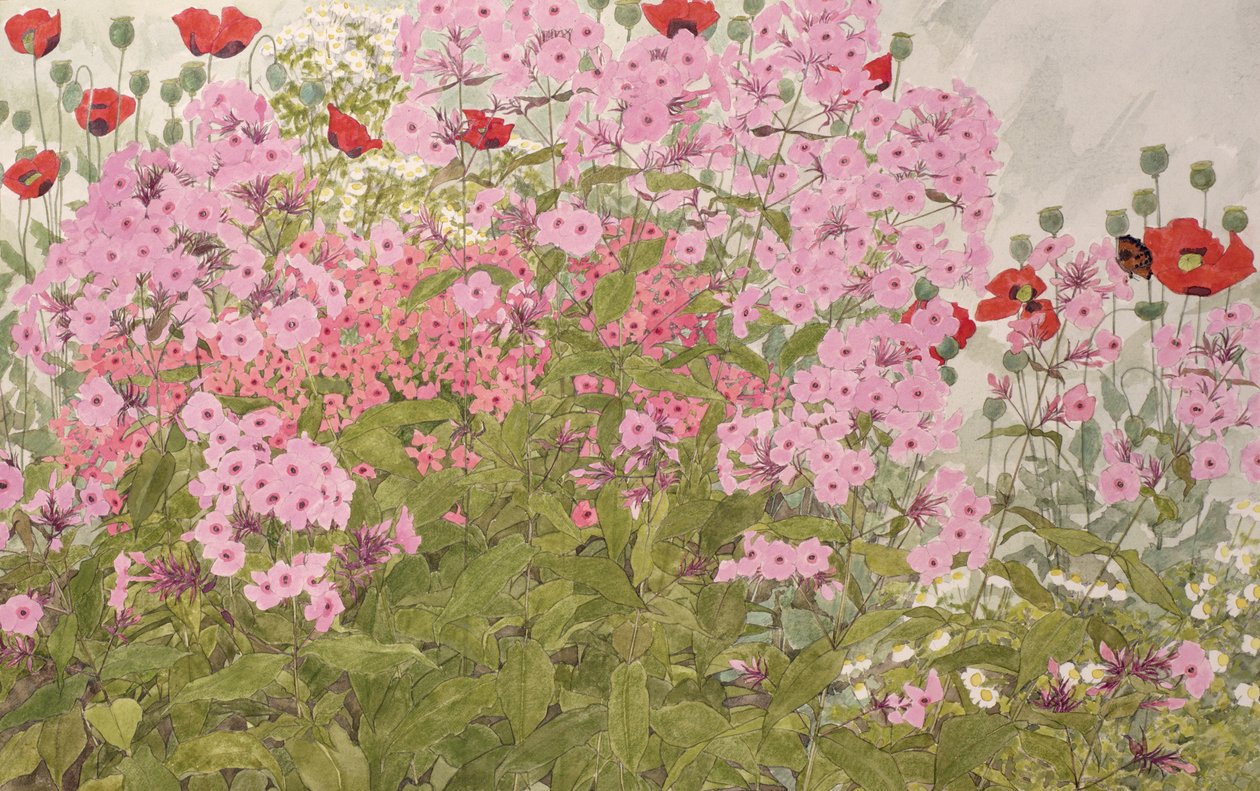 एक तितली के साथ गुलाबी Phlox और Poppies (कागज पर wc) द्वारा लिंडा बेंटन