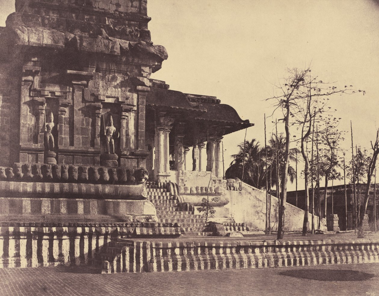 तंजौर: महान शिवालय, प्रवेश द्वार बाहर की ओर दिखता है द्वारा लिनिअस ट्राइप