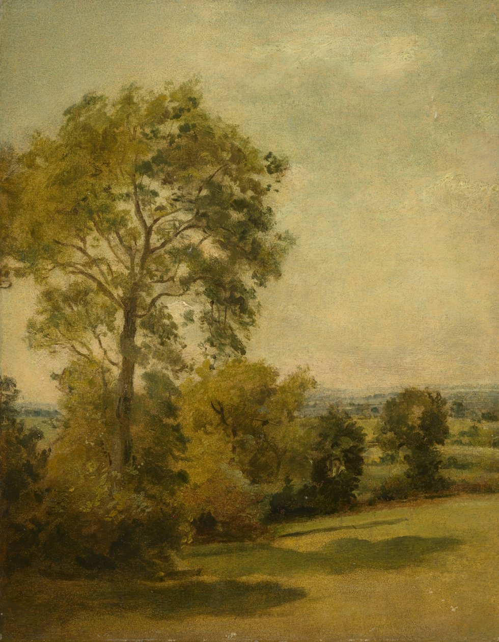 एक लैंडस्केप में पेड़, c.1850 द्वारा लियोनेल कांस्टेबल