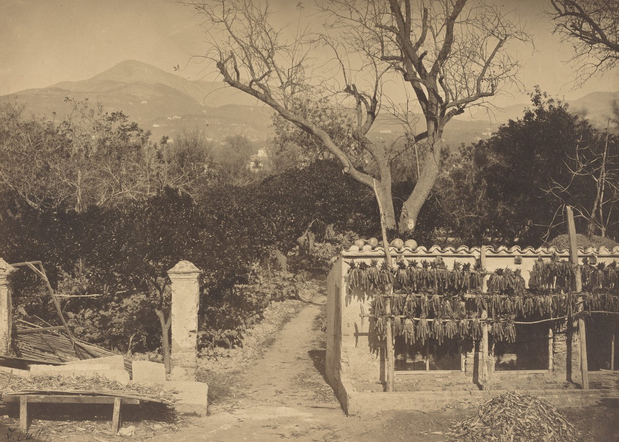 पहाड़ों के साथ कृषि दृश्य द्वारा लुई क्रेते
