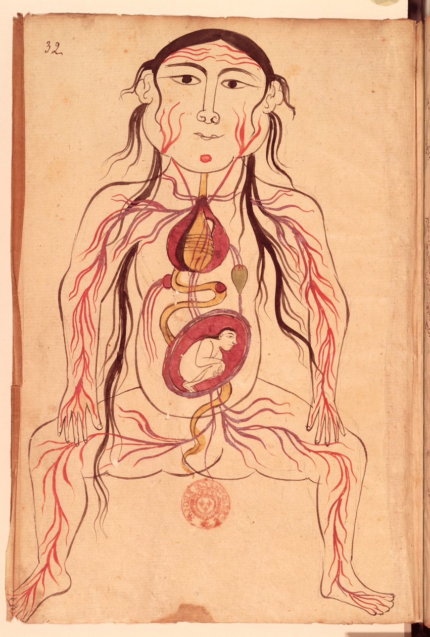 एक महिला और उसके भ्रूण की सुश्री पर्सन 151 Fol.32 एनाटोमिकल आरेख द्वारा मंसूर बी। एलियास चिरज़ी